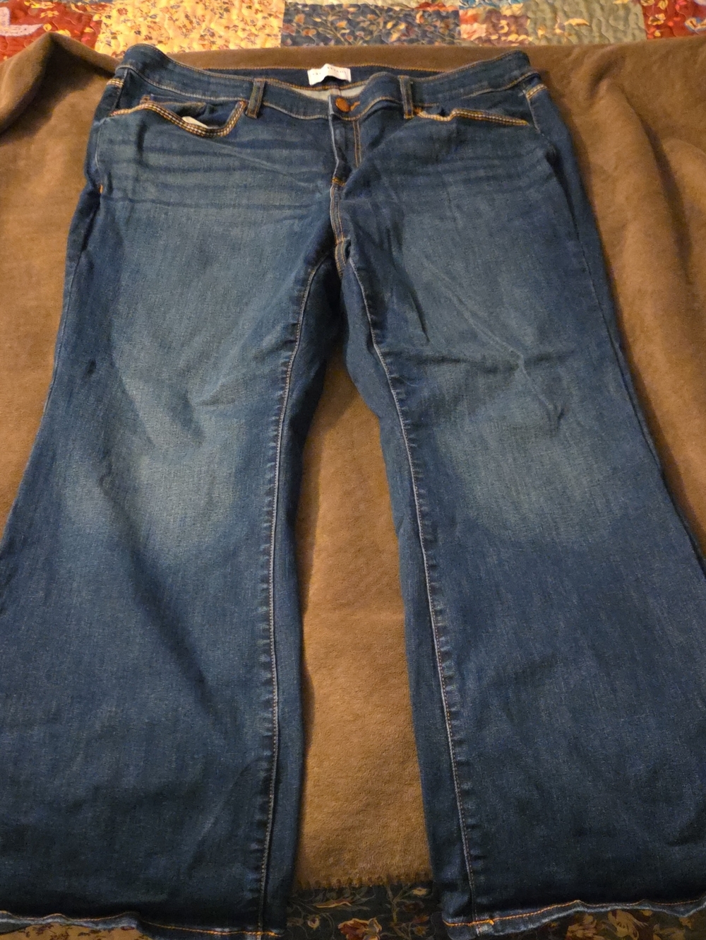 Lane Bryant Dark Blue Flare Jeans